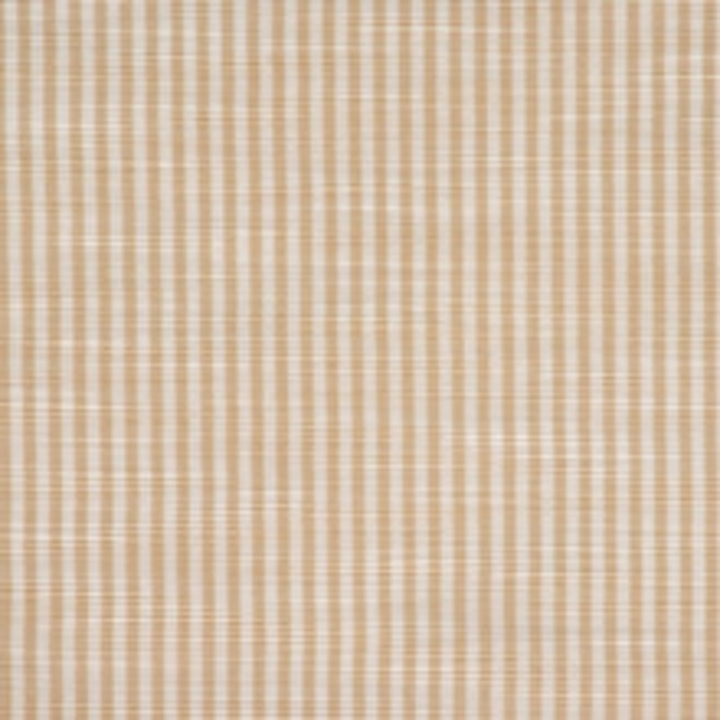 Hawk Tea Stain by RM CoCo