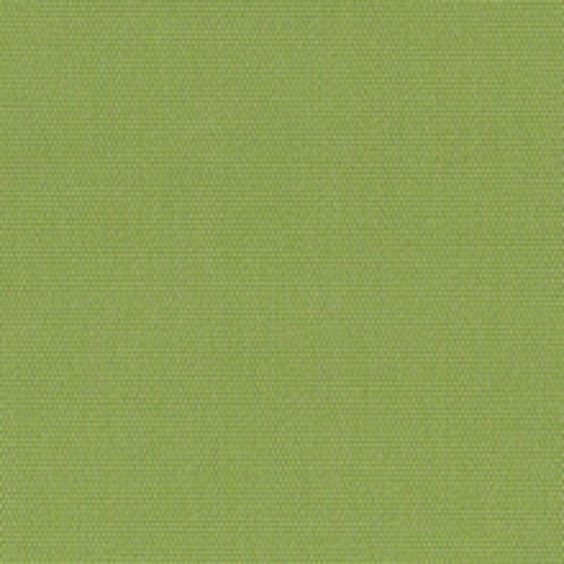 Sunbrella Fabric 54011 Canvas Ginkgo