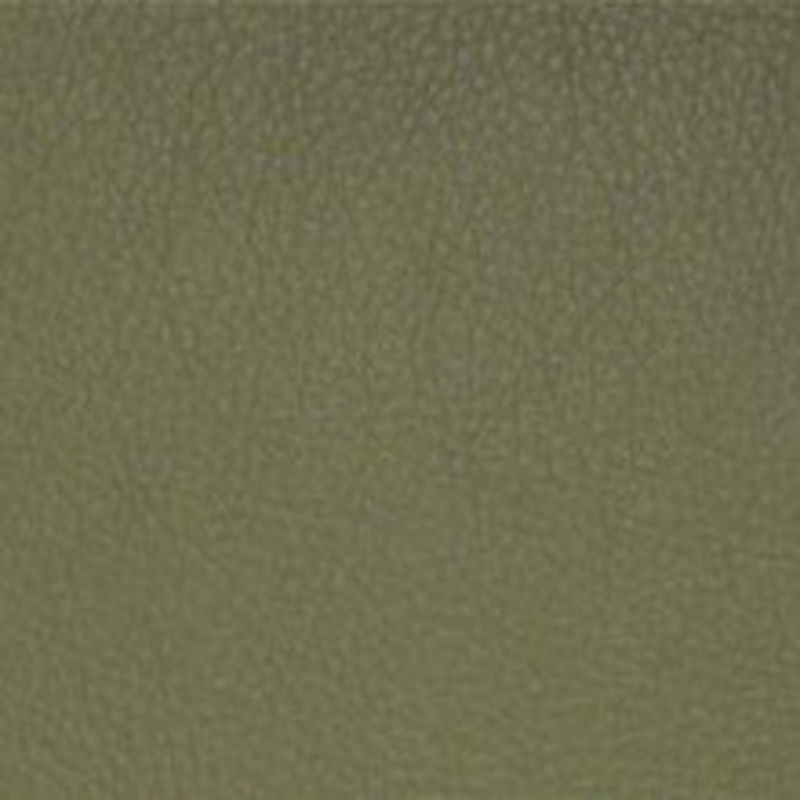 Nassimi Fabric Classic Sage