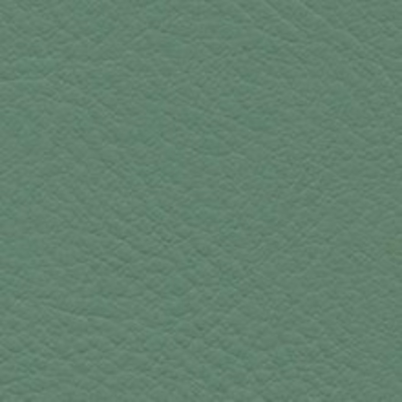 Nassimi Fabric Verve Basil