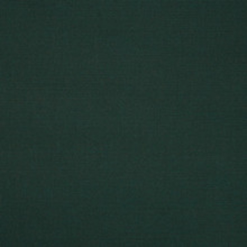 Sunbrella Fabric 6032 Ivy