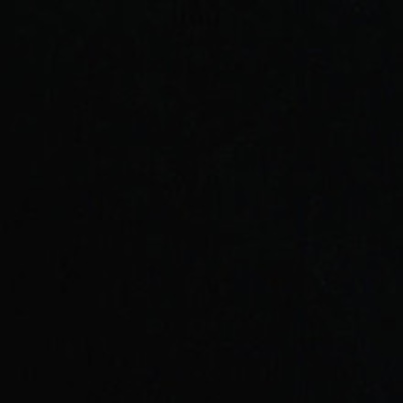 Morbern Fabric Prodigy Black