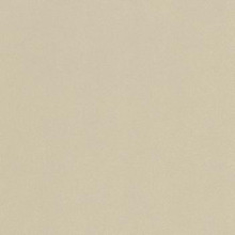 Spradling Fabric Atmosphere Champagne