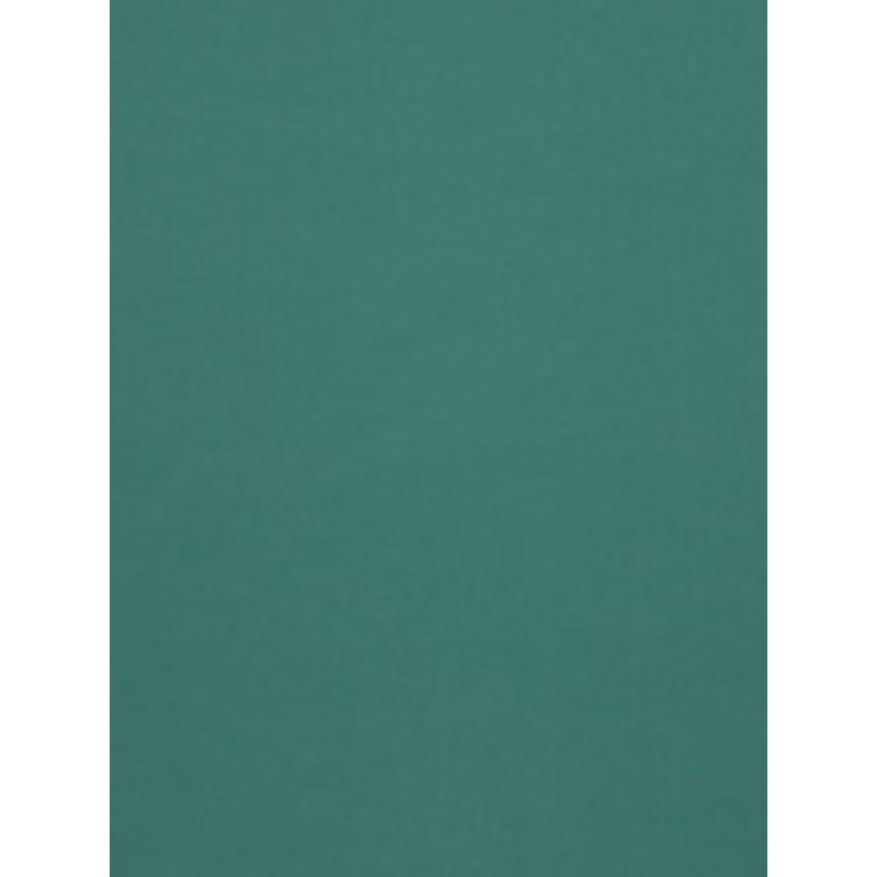Clarke And Clarke Fabric Renzo Spice