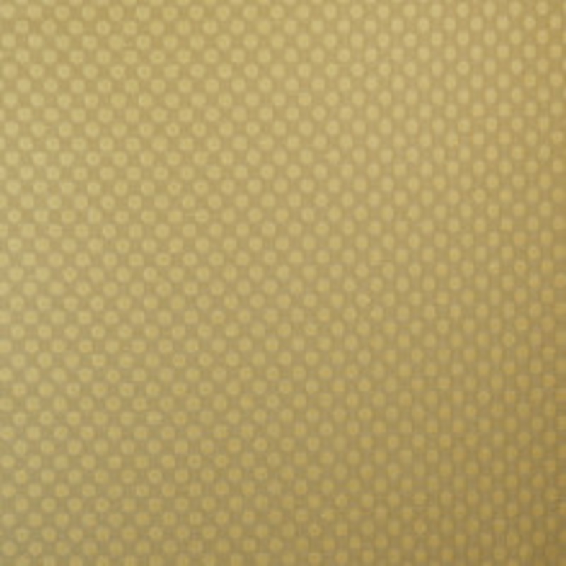 Cole & Son Wallcovering Feather Fan Ecru