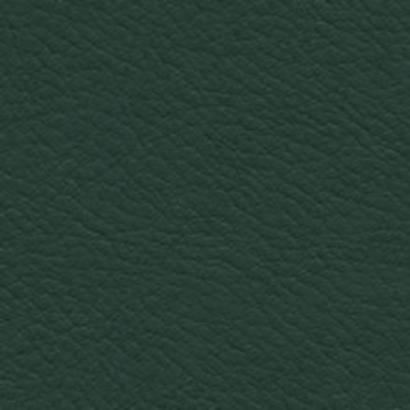 Nassimi Fabric Verve Evergreen