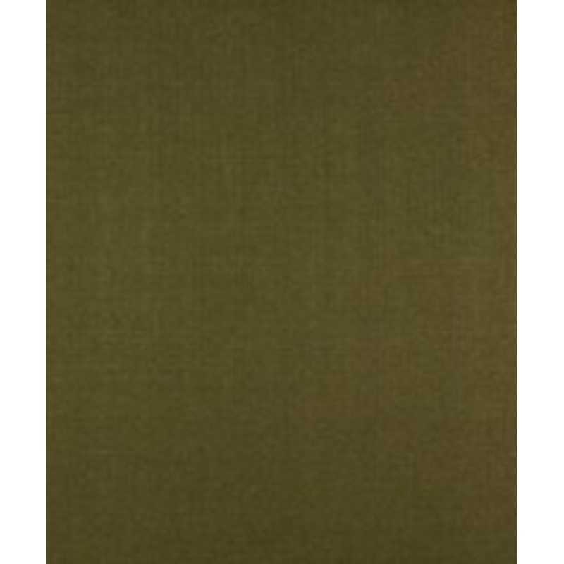 Barrow Fabric Expert Moss M7286