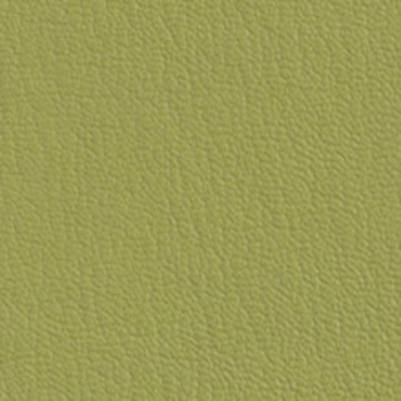 Omnova Fabric Colorguard Leap Frog