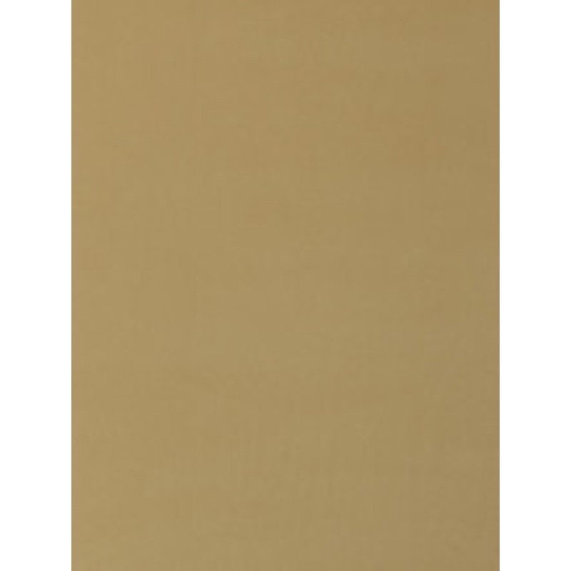 Clarke And Clarke Fabric Alora Earth