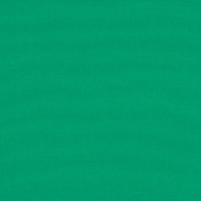Sunbrella Fabric 6000 Erin Green